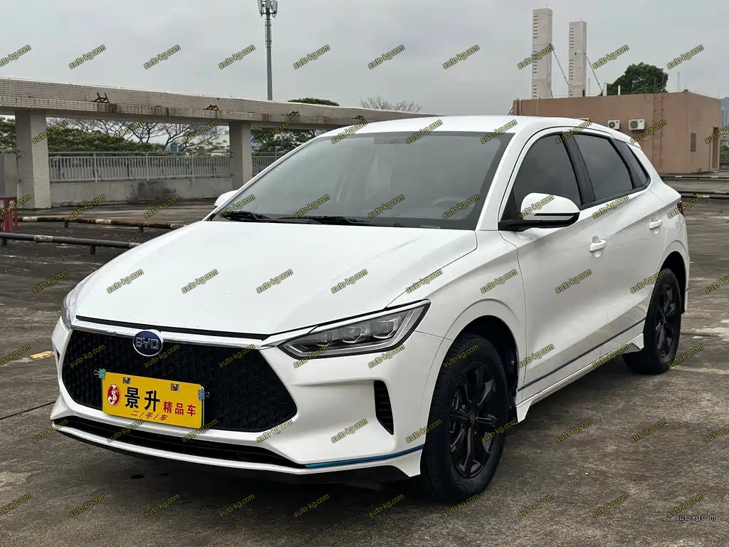 BYD e2 2020