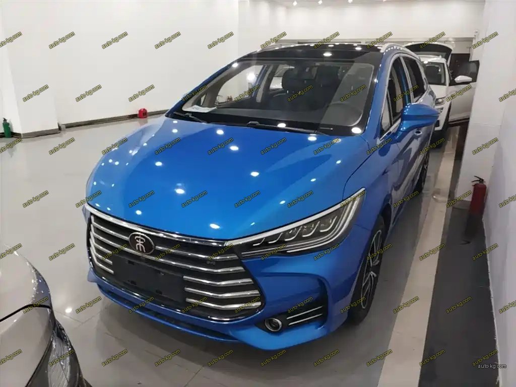 BYD MAX 2018