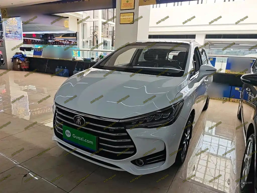 BYD MAX 2017