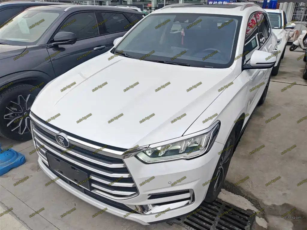 BYD Pro 2019