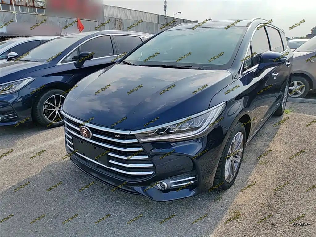 BYD MAX 2019