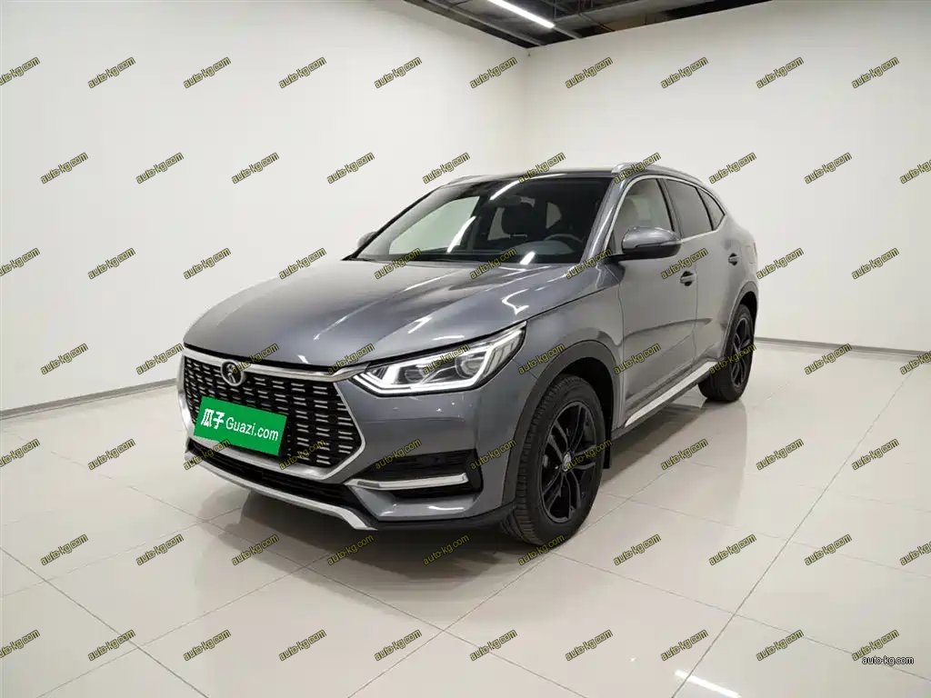 BYD PLUS 2021