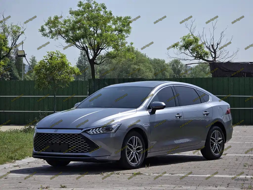 BYD Qin PLUS 2023