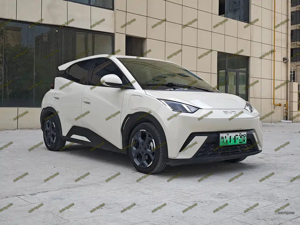BYD Seagull 2024