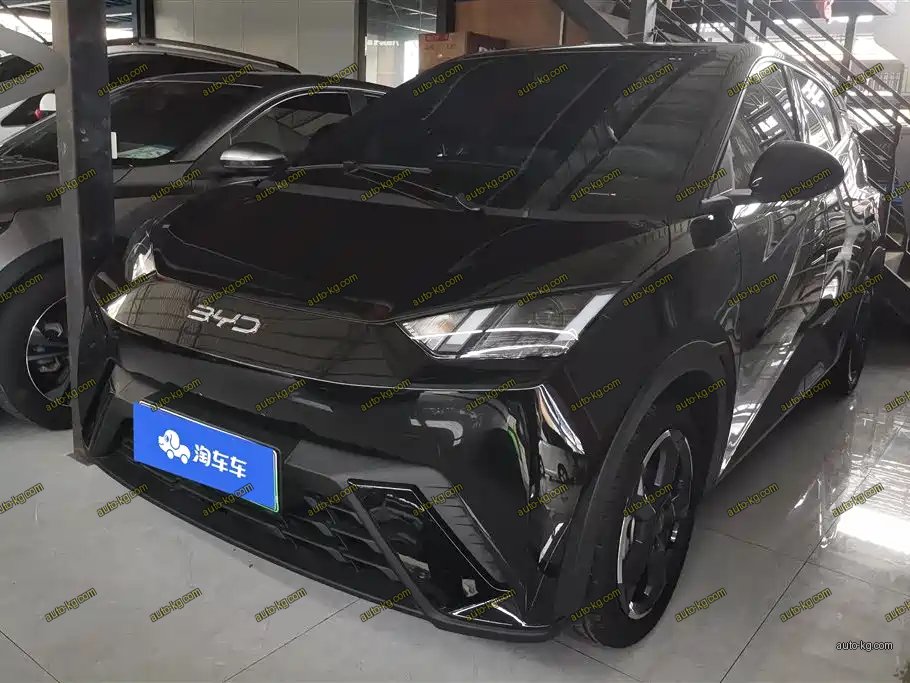 BYD Seagull 2023