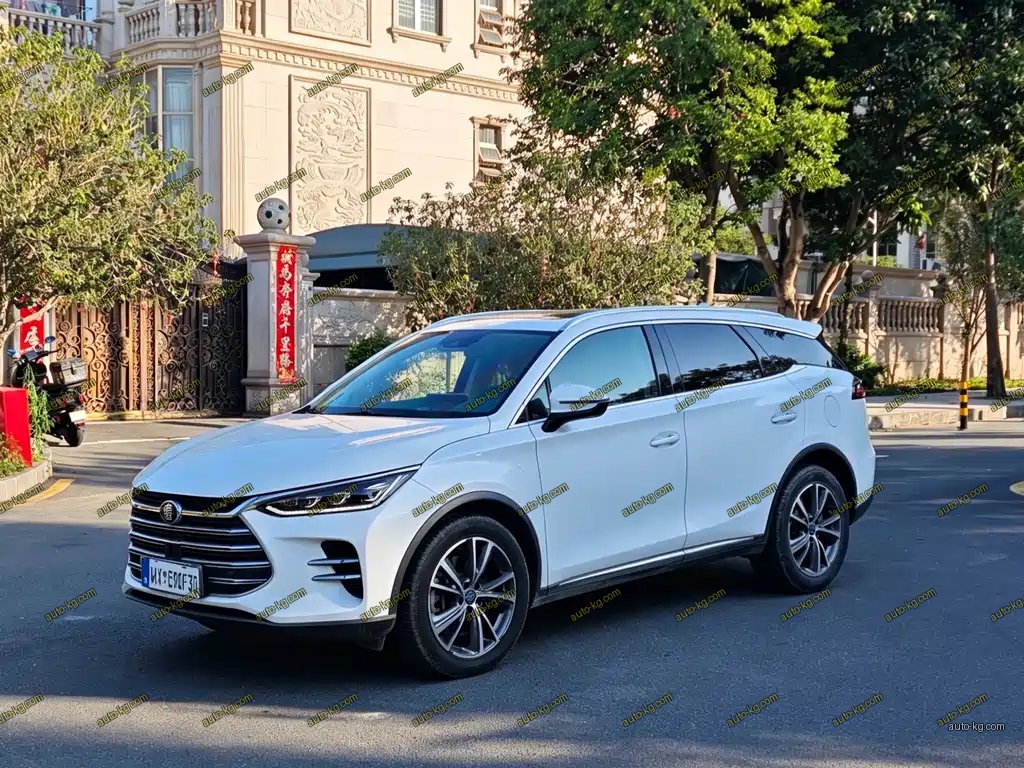 BYD Tang New Energy 2019