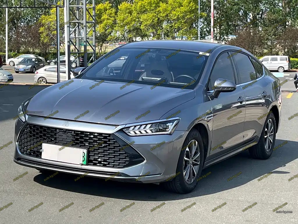 BYD Qin PLUS 2024