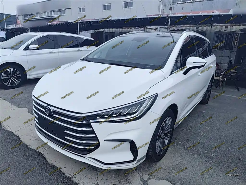 BYD MAX 2021