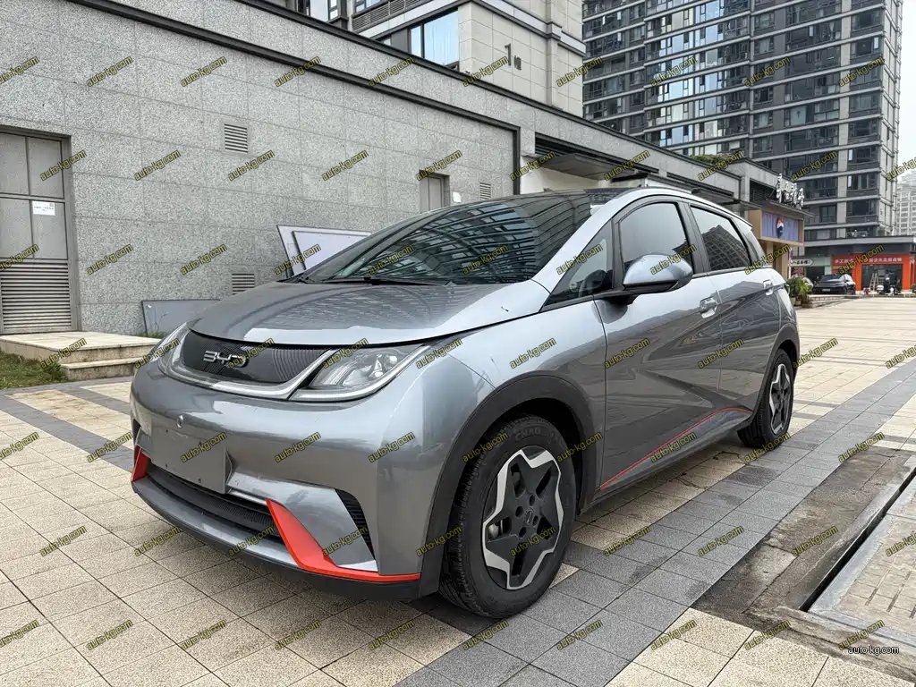 BYD Dolphin 2022