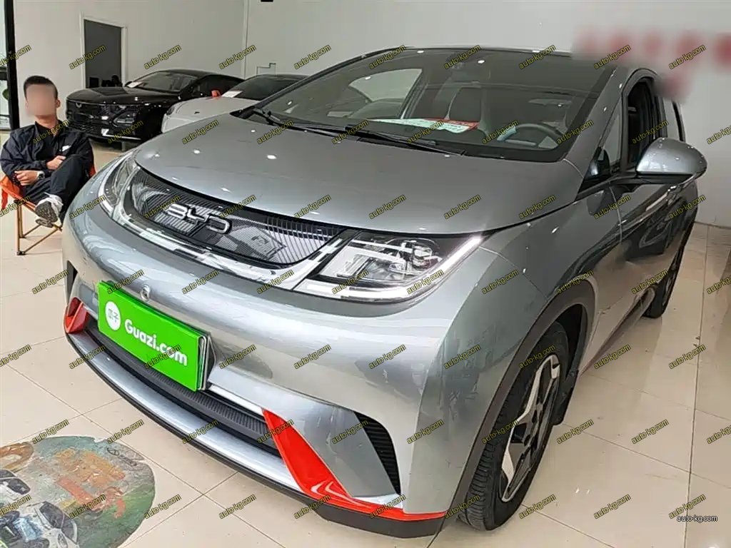 BYD Dolphin 2022