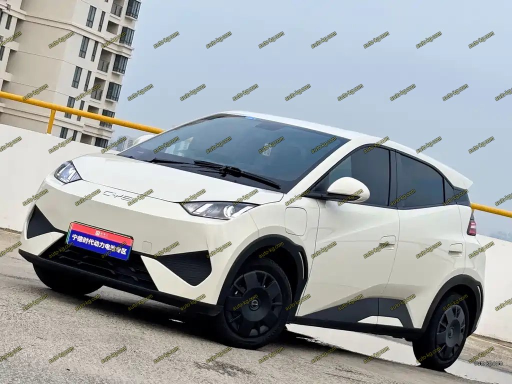 BYD Seagull 2025
