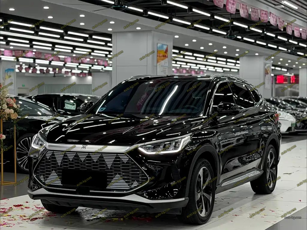 BYD PLUS New Energy 2021