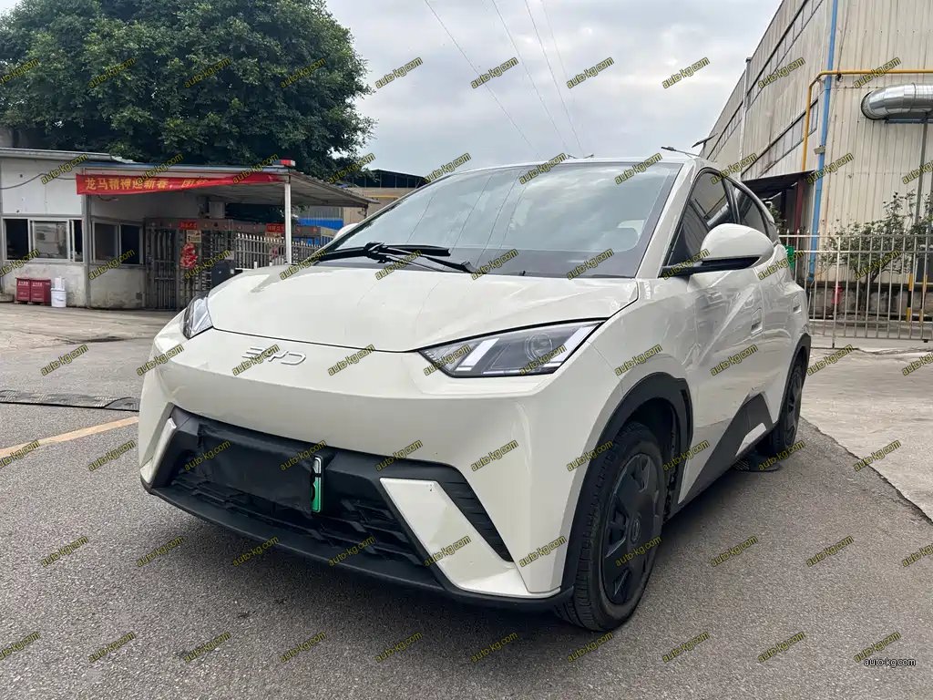 BYD Seagull 2024