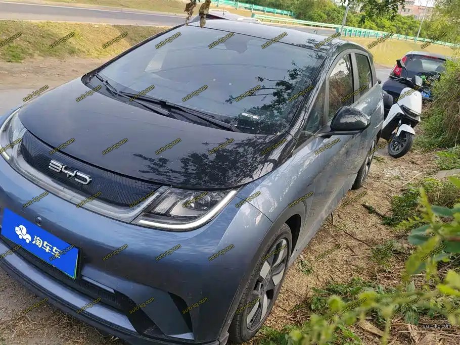 BYD Dolphin 2024
