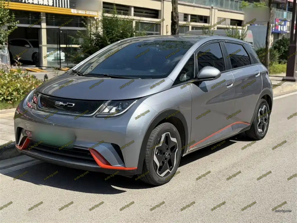BYD Dolphin 2022