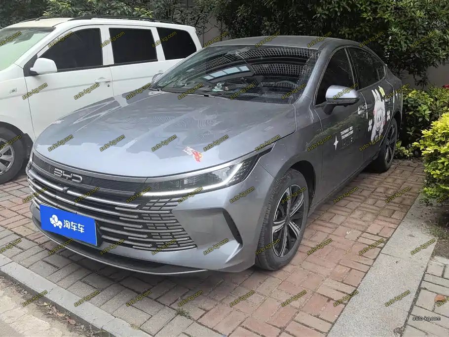 BYD Destroyer 05 2024