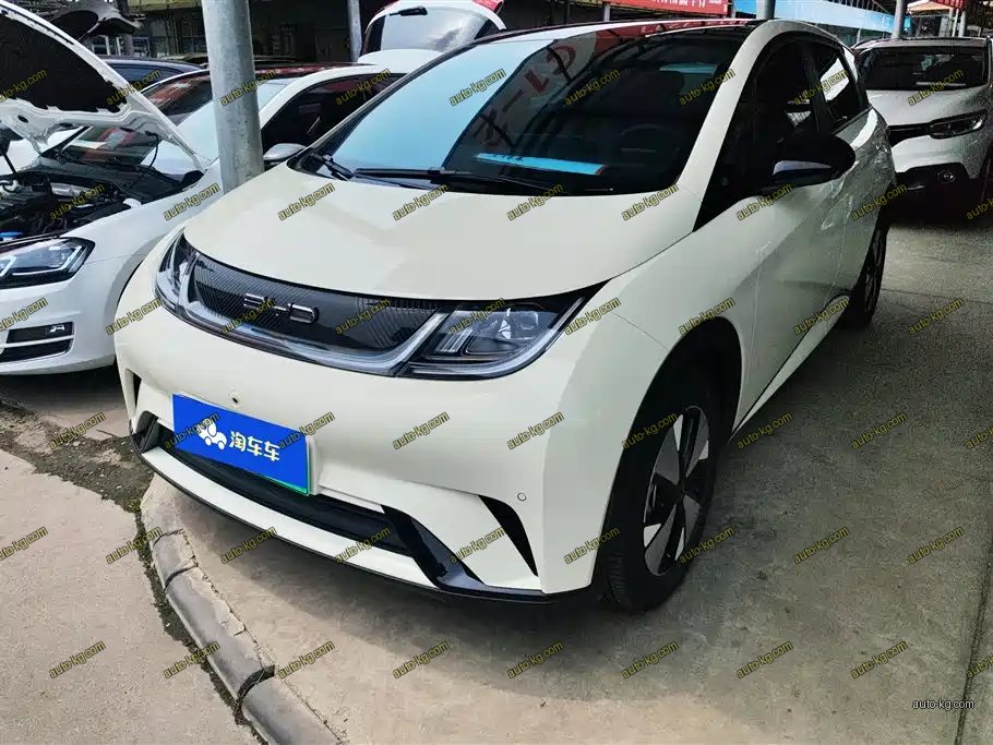 BYD Dolphin 2024