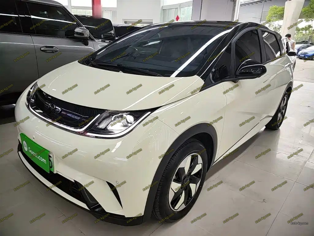 BYD Dolphin 2024