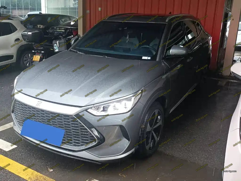 BYD PLUS New Energy 2022