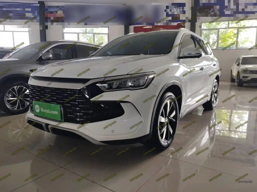 BYD Pro New Energy 2024