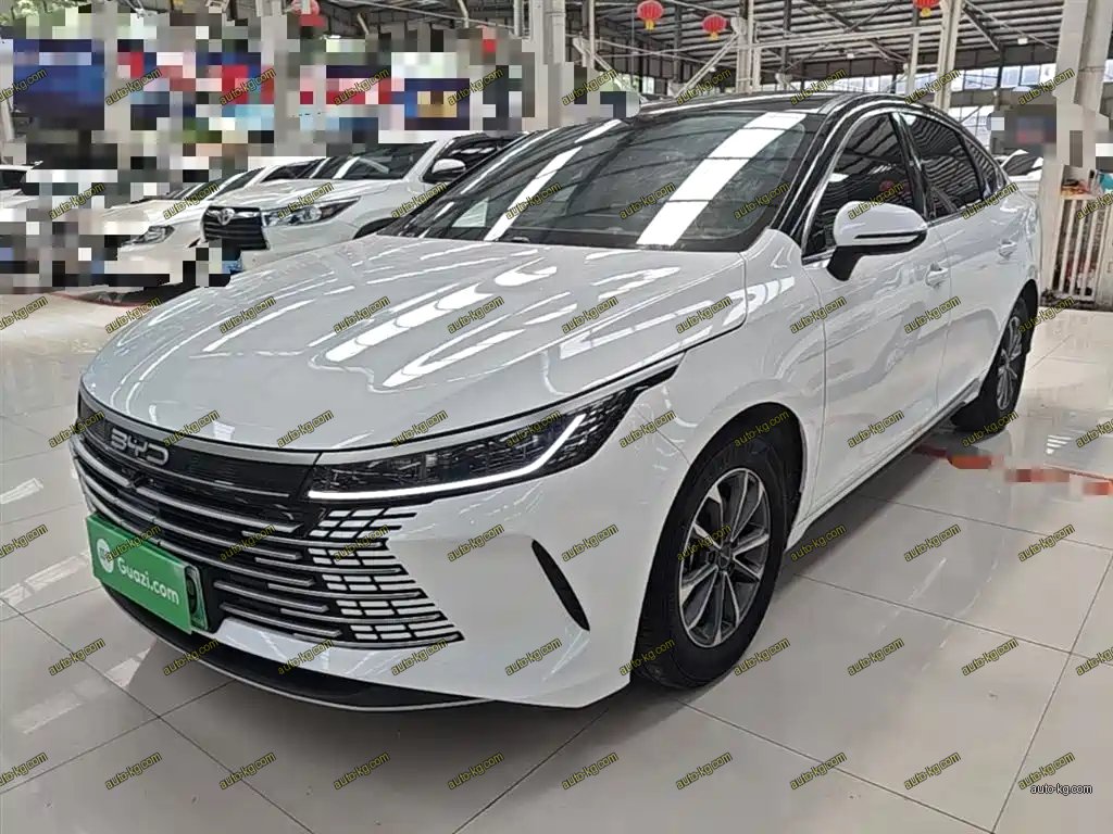 BYD Destroyer 05 2024