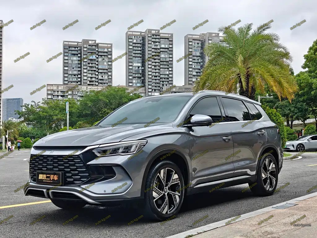 BYD Pro New Energy 2024