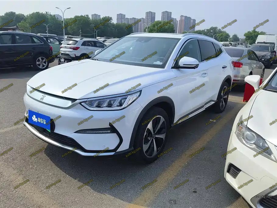 BYD PLUS New Energy 2021