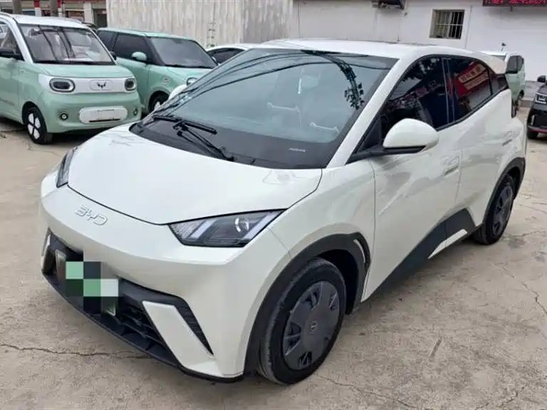 BYD Seagull 2024