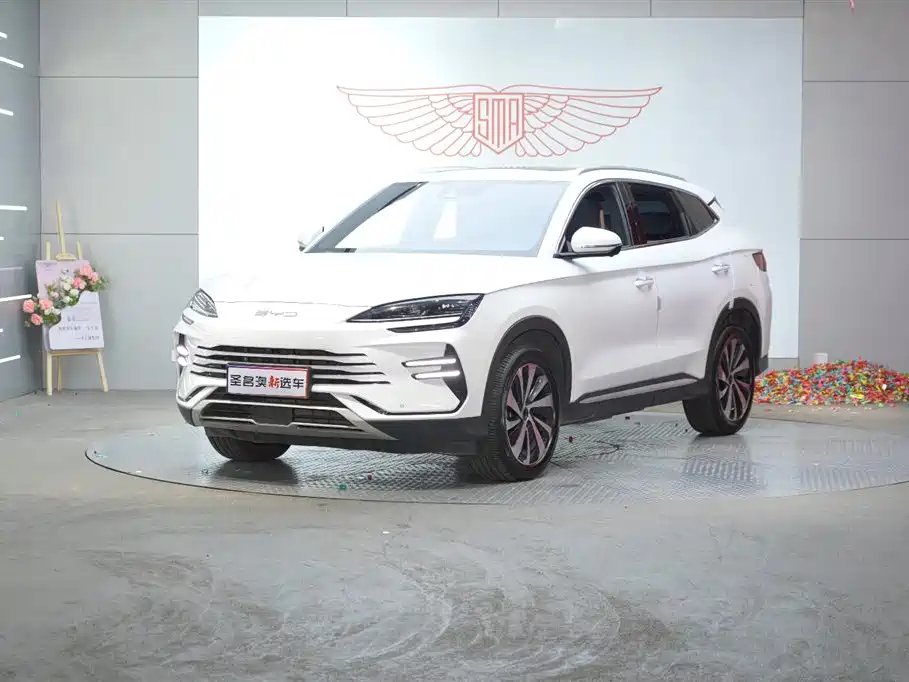 BYD PLUS New Energy 2023