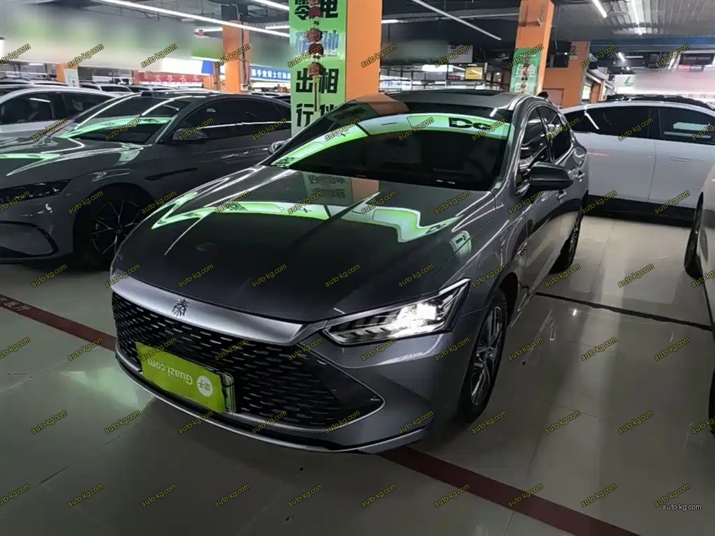 BYD Qin PLUS 2024