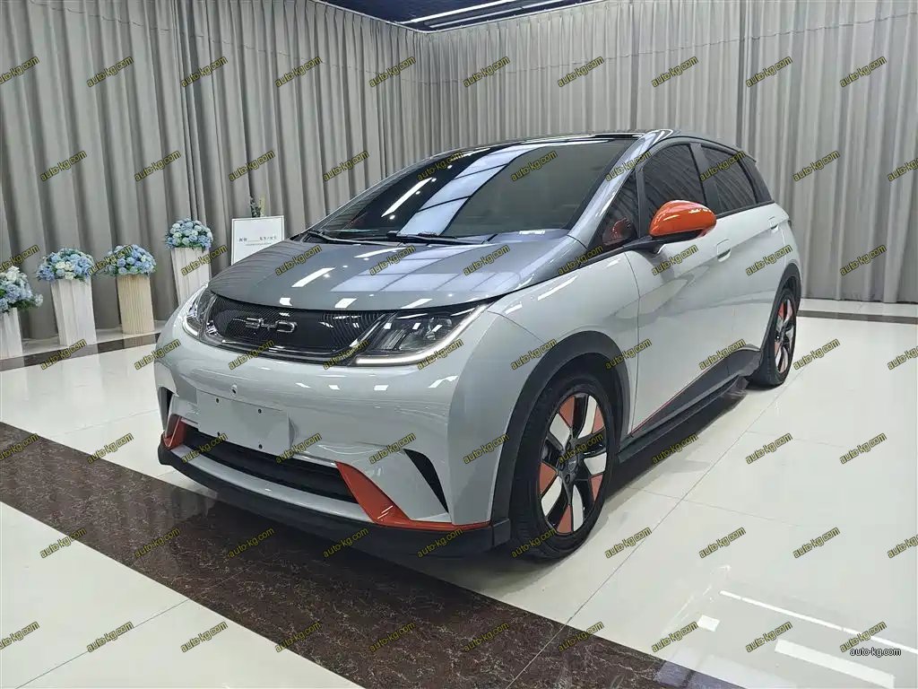BYD Dolphin 2022