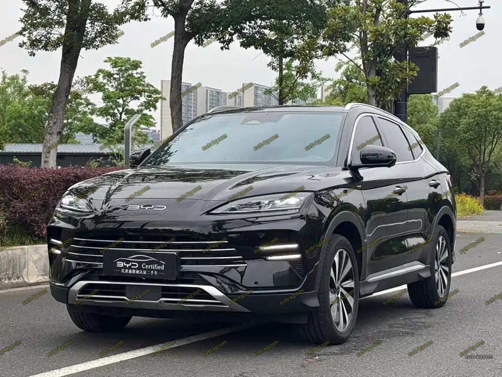BYD PLUS New Energy 2024