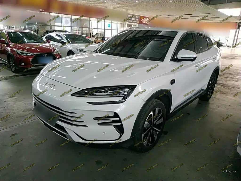 BYD PLUS New Energy 2025