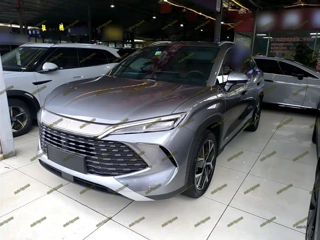 BYD L DM-i 2024
