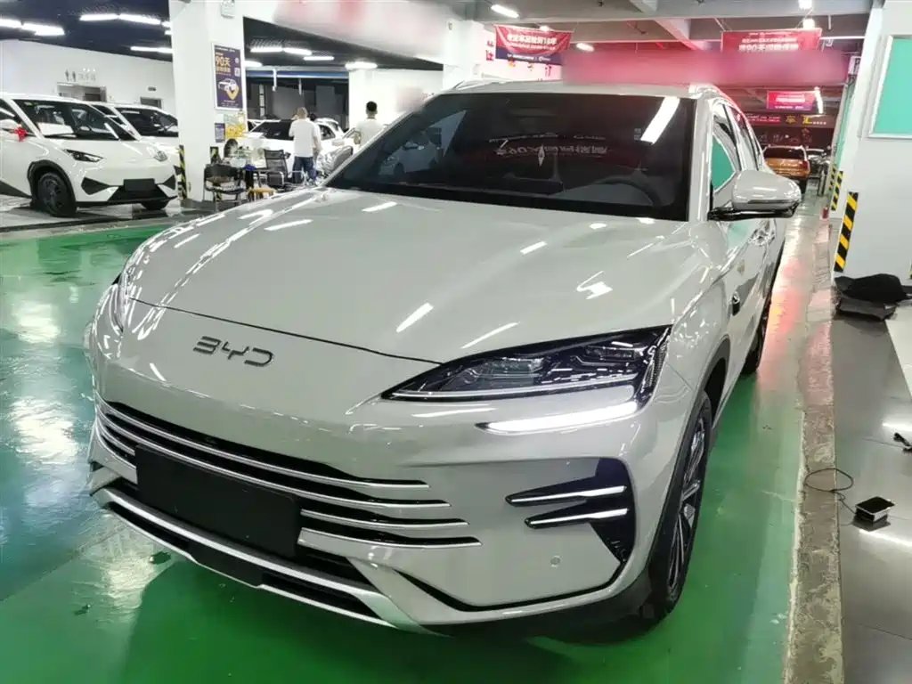 BYD PLUS New Energy 2025