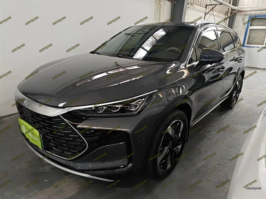 BYD Tang New Energy 2024