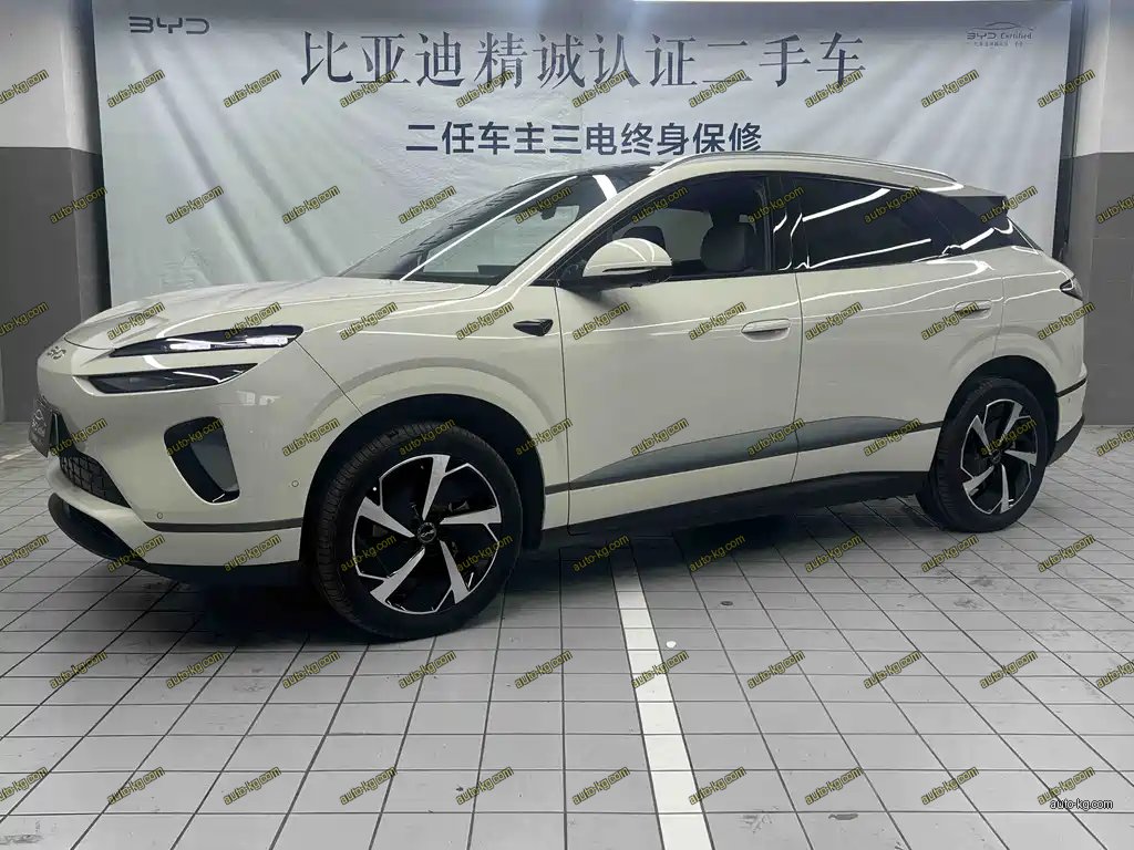 BYD 海狮06 2025