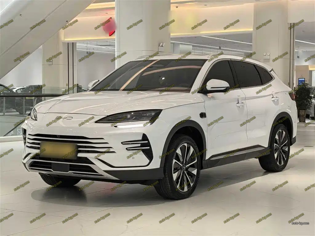 BYD PLUS New Energy 2025