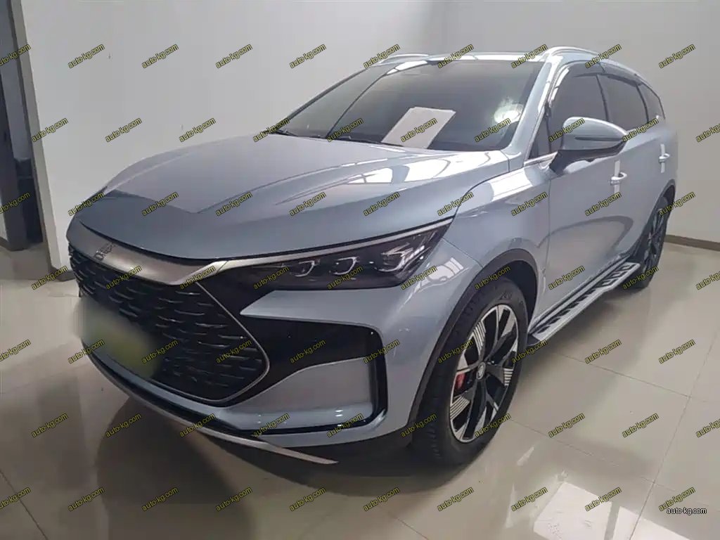 BYD Tang New Energy 2024