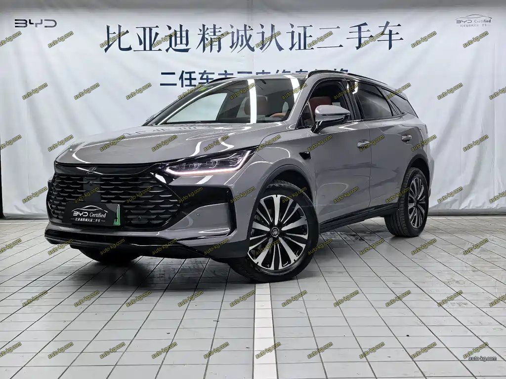 BYD Tang New Energy 2025