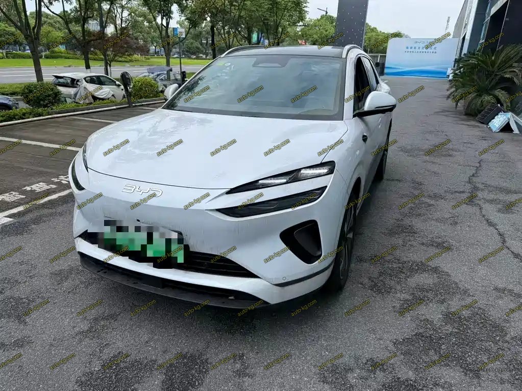 BYD 海狮06 2025