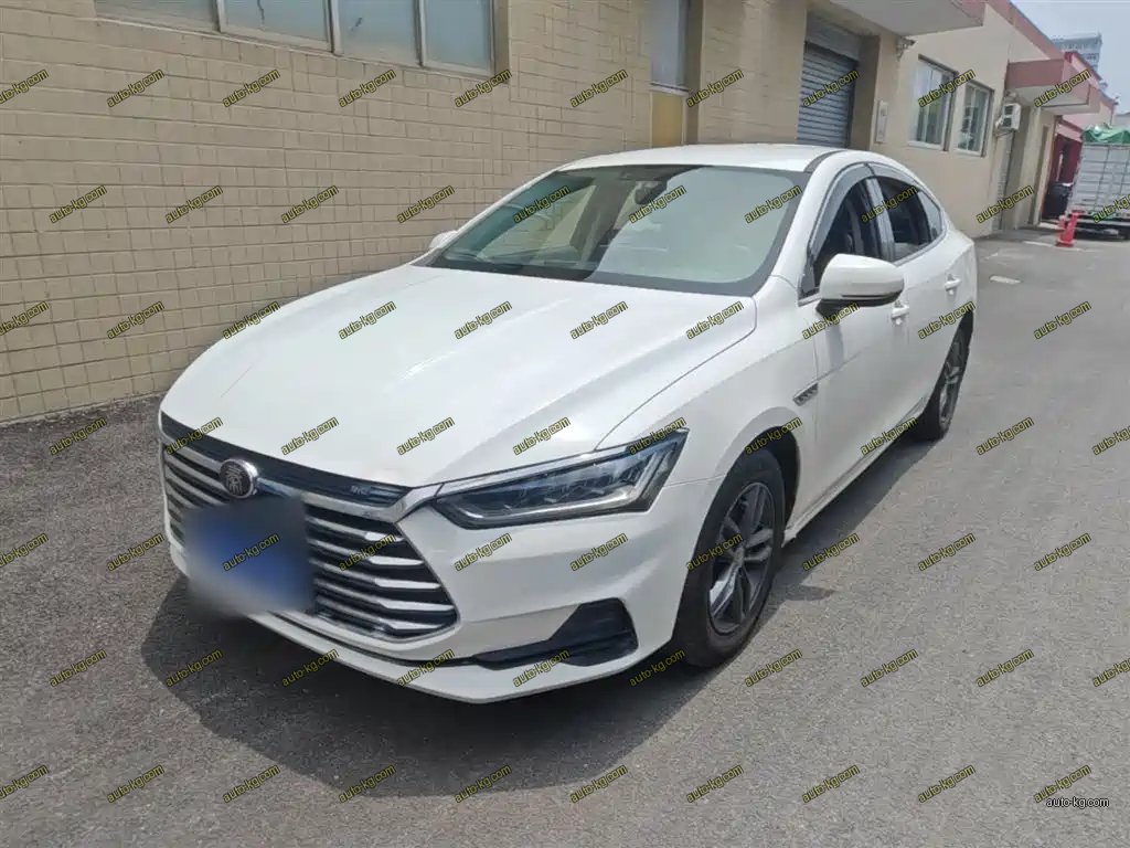 BYD Qin Pro 2019