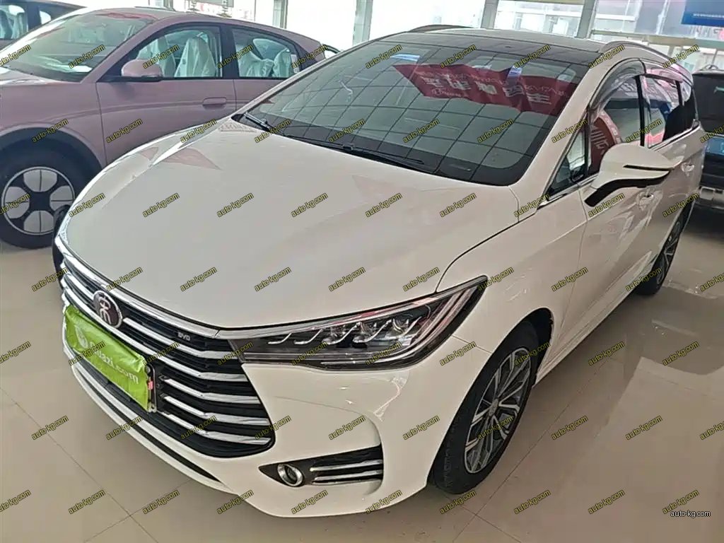 BYD MAX 2019