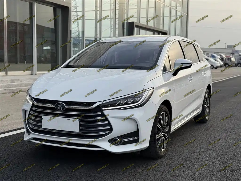 BYD MAX New Energy 2019