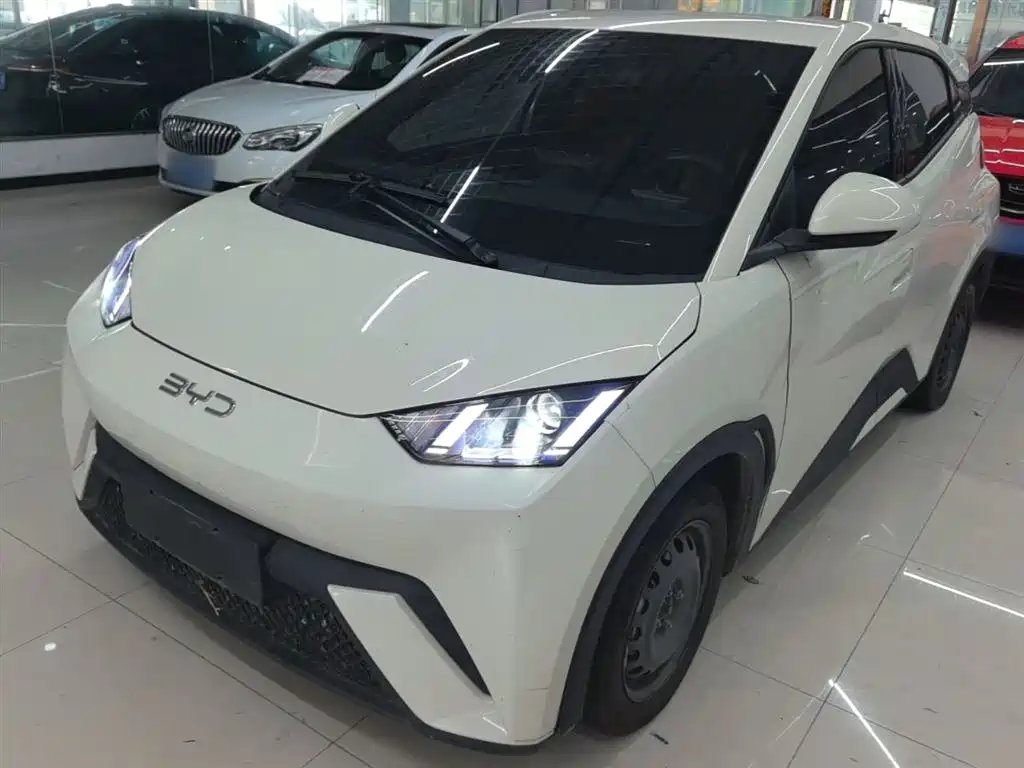 BYD Seagull 2024