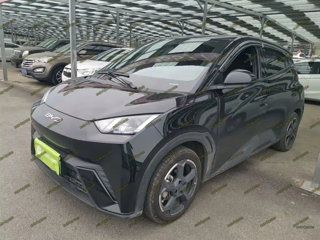 BYD Seagull 2023