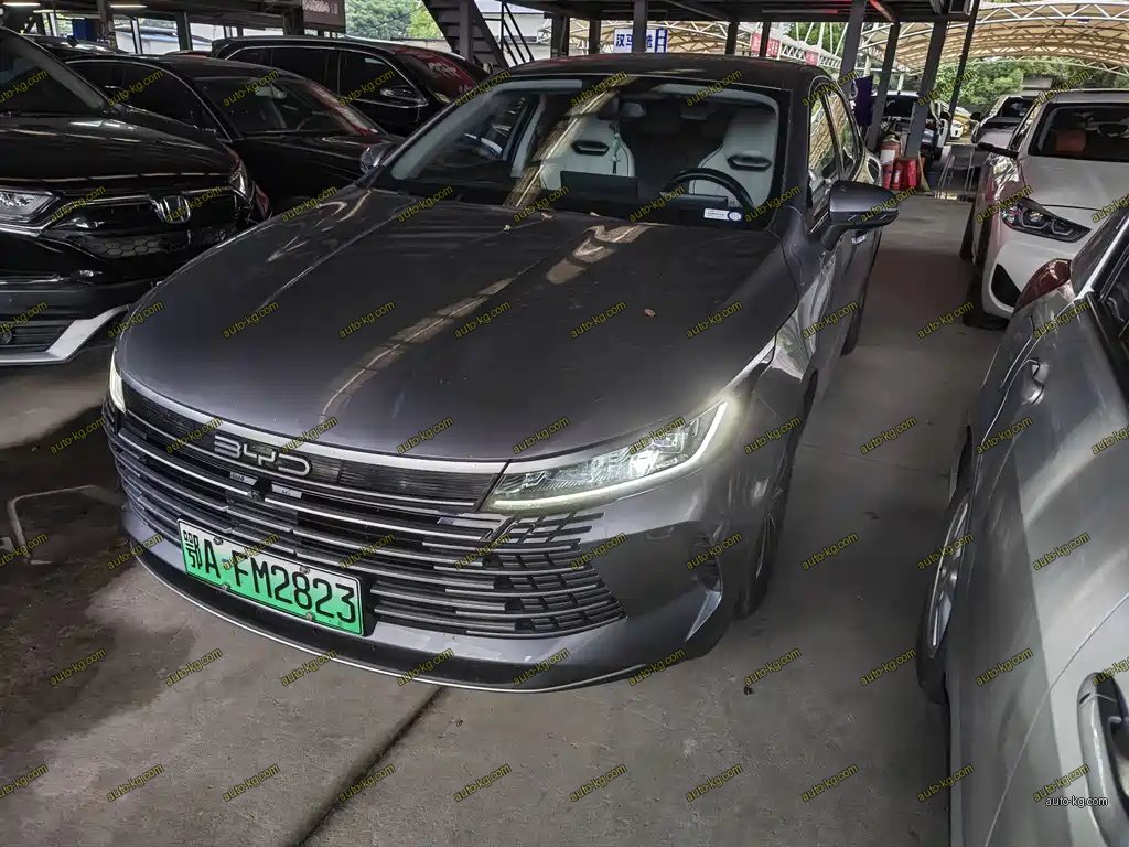 BYD Destroyer 05 2024