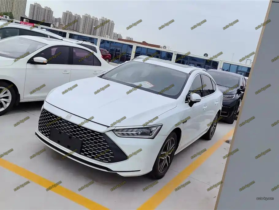 BYD Qin PLUS 2021