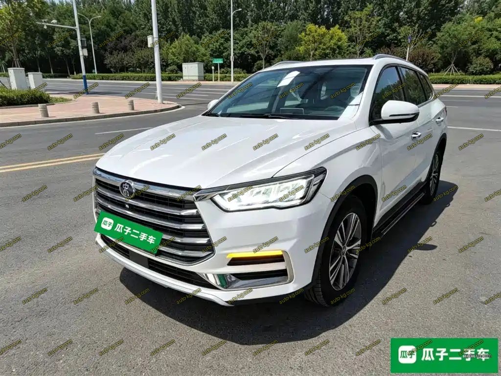 BYD Pro 2020