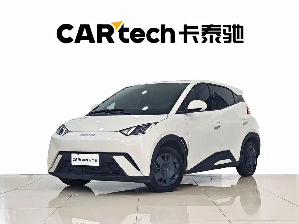 BYD Seagull 2024